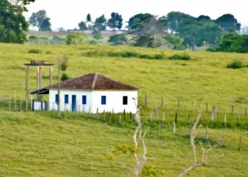 vaqueiro, empregador doméstico, contrato de trabalho, afastamento previdenciário, empregador pessoa física