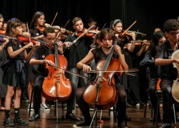 instituição de ensino musical, centro educacional de música, escola de artes musicais