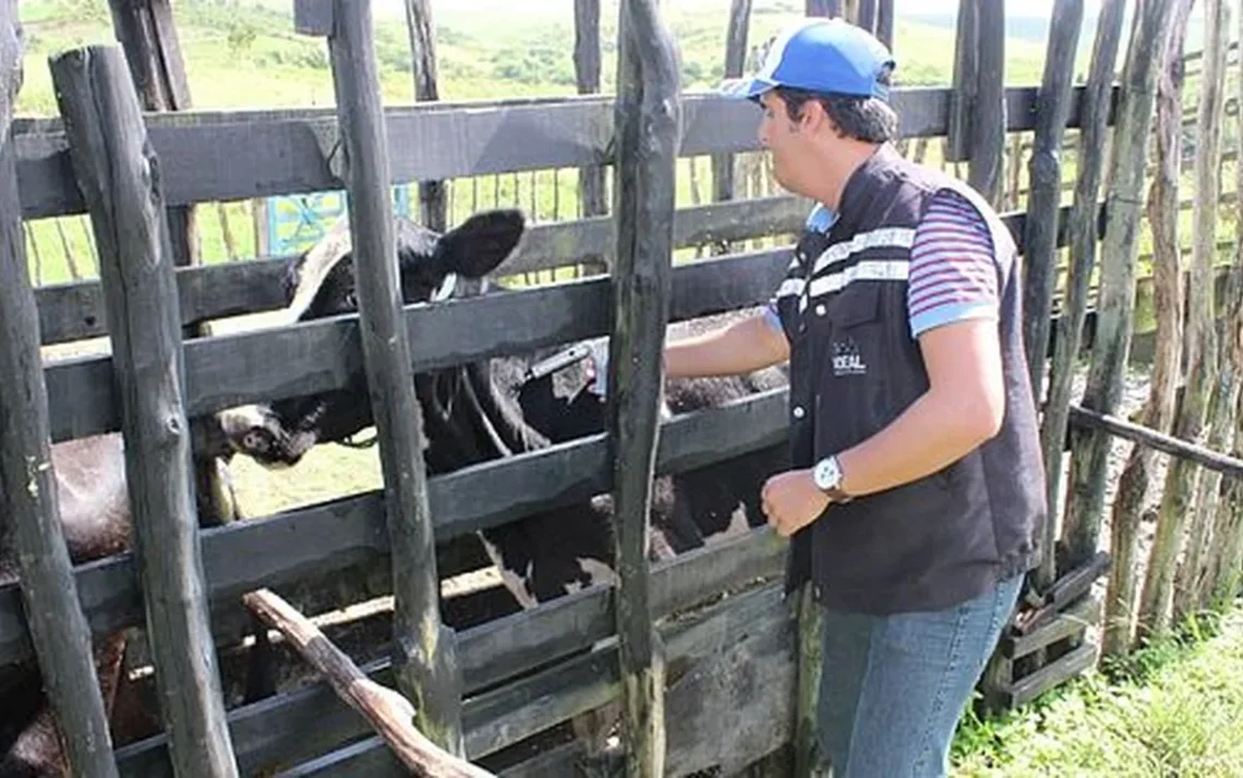 Imunização contra febre aftosa, Campanha de vacinação contra aftosa, Necessidade da vacinação