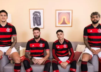 Clube de Regatas do Flamengo, Rubro-Negra, Adidas, Brasil, marca das três listras;