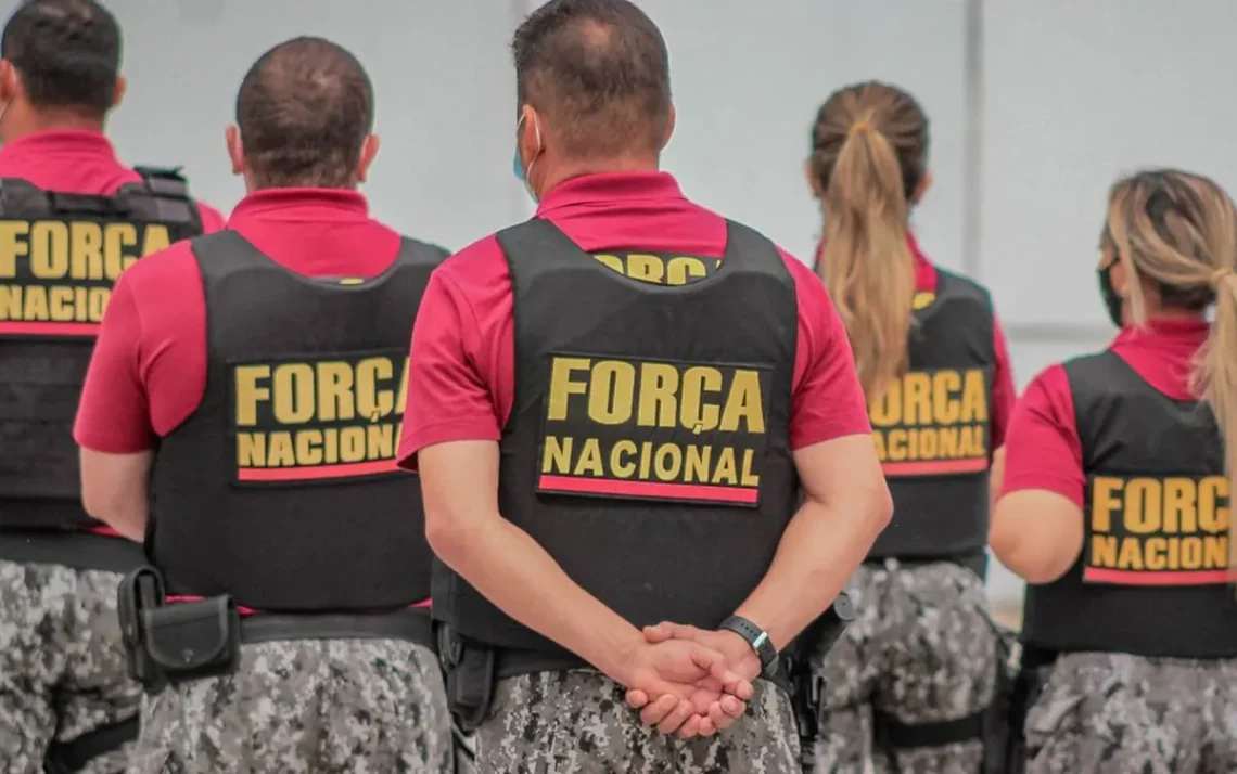 Força Nacional de Segurança Pública, forças federais