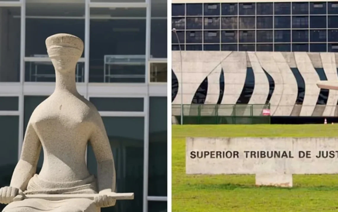 Supremo Tribunal Federal e Superior Tribunal de Justiça