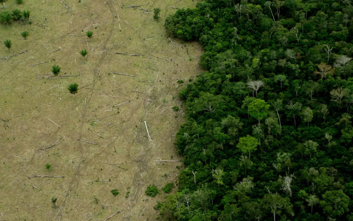 aquecimento global, mudanças climáticas;