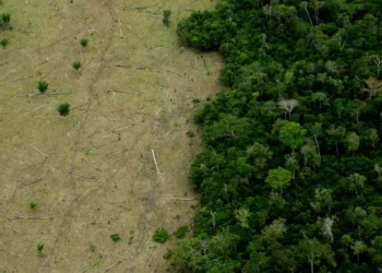 aquecimento global, mudanças climáticas;