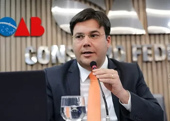 Líder da Ordem dos Advogados, advogado-chefe, autoridade da advocacia