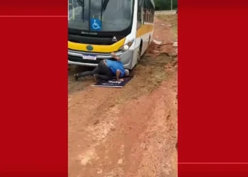 veículo escolar, transporte escolar, ônibus de estudantes