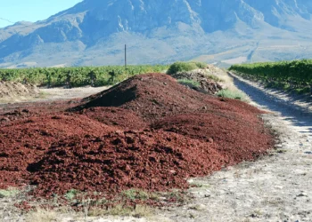 adubos, insumos agrícolas, produtos para solo