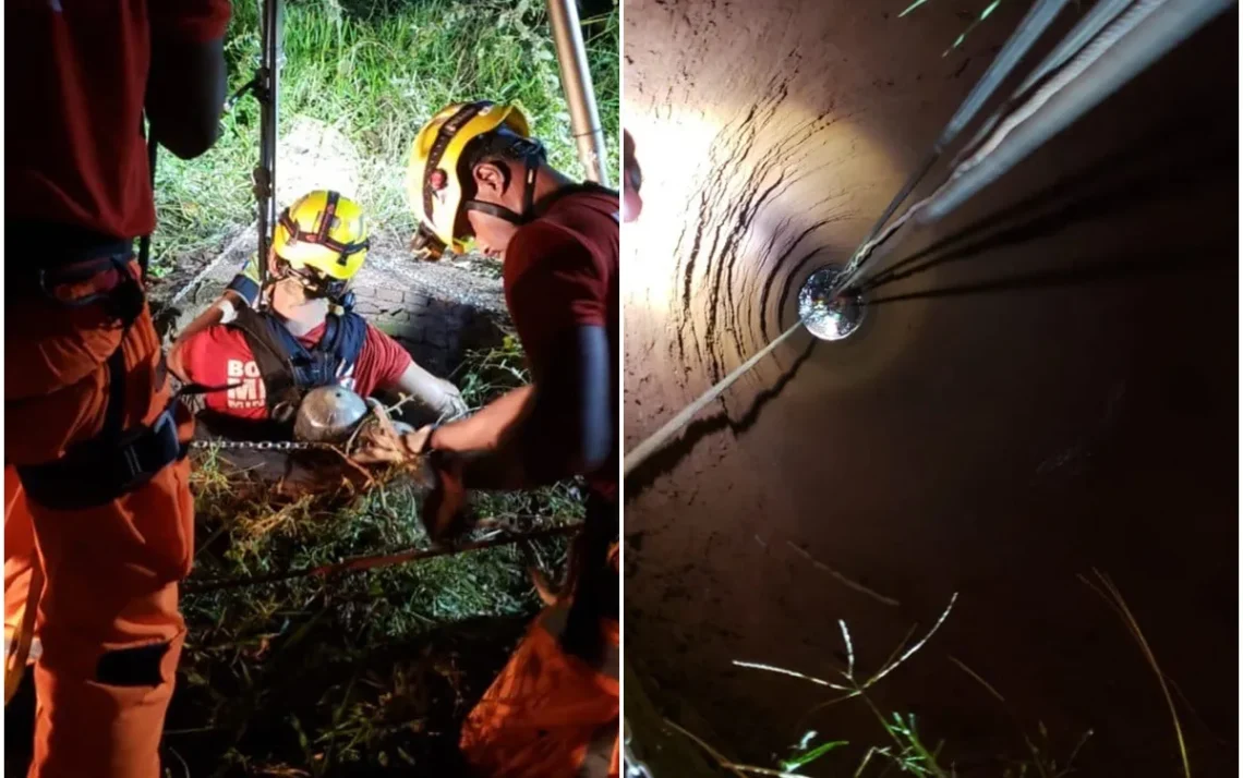 brigadistas, combatentes de incêndio, socorristas