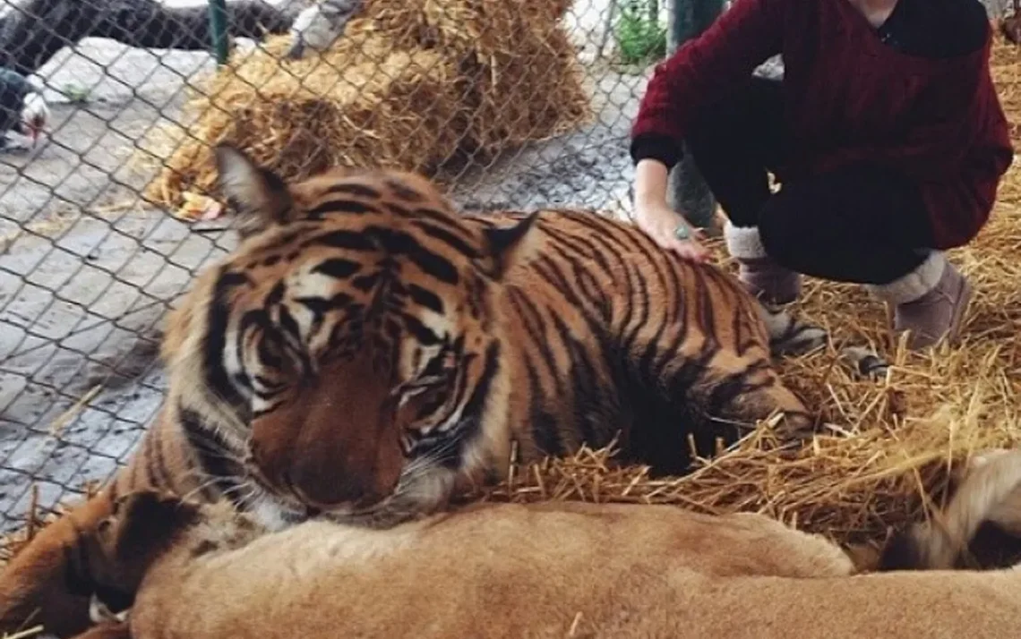 zoológico, zoológico de Luján