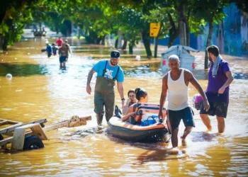 brasileiro, brasiliano;