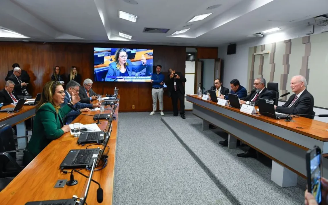 Comissão Temporaria Externa Reunião;