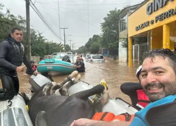 diretor, eleito, administração, professor, universidade, federal, rio-grande-do-sul, capital, gaúcha, imediações, cenário, catastrófico, jet-ski, botes, Gasômetro, correntes, Guaíba, ilhas, animais, perdidos, recuperar, abrigos, bem-estar, estado, deslocamento, seguro, amarrados, telhado, Canoas, equino, cavalo, Caramelo, trabalho, tarefas, peregrinações, impactar, cenário, encontrado, superação, povo, ajuda, tristeza, emoção, caras, Ilha da Pintada, Santa Catarina, solidariedade, absurda, mortes, desaparecidos, pessoas, fora de casa;