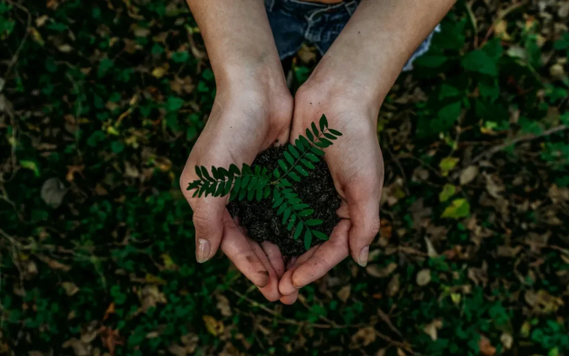 meio ambiente, diversidade, biológica;