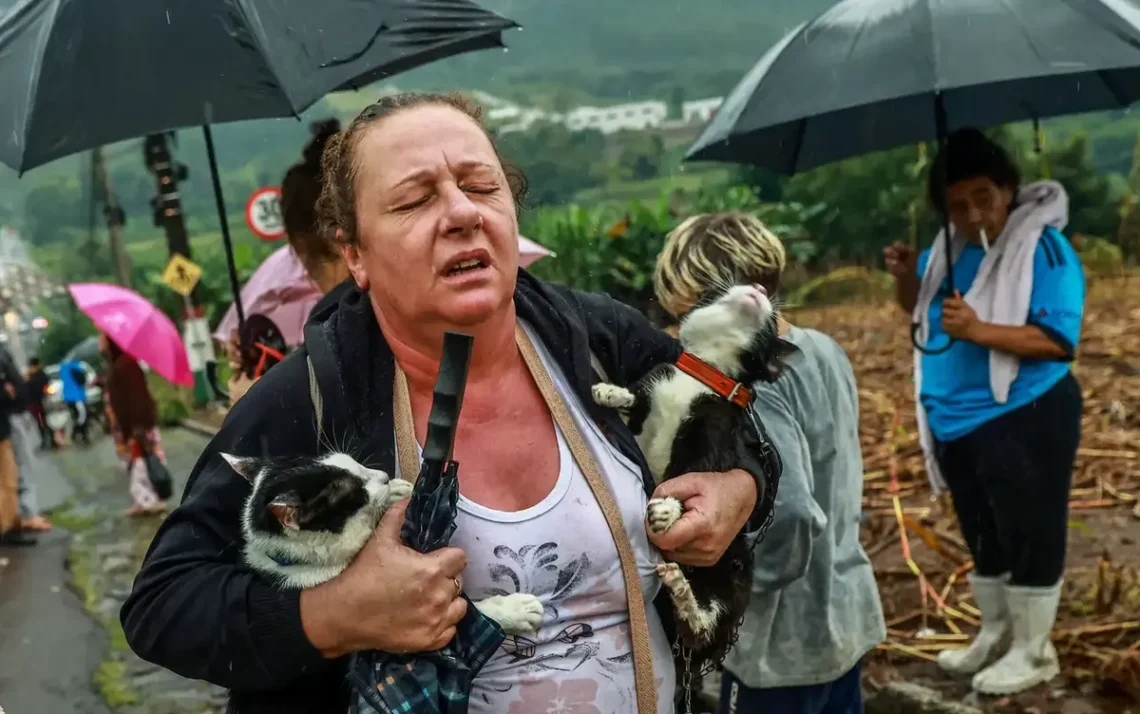 benefício, ajuda, financeira, famílias, atingidas.