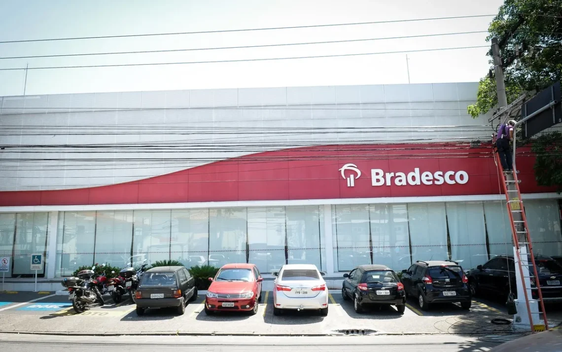 CSN, Group, VALE, Banco, Bradesco;