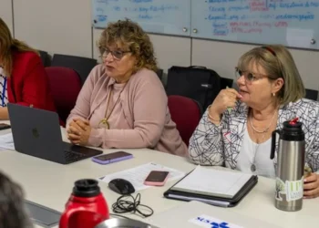 doenças, transmitidas por vetores;