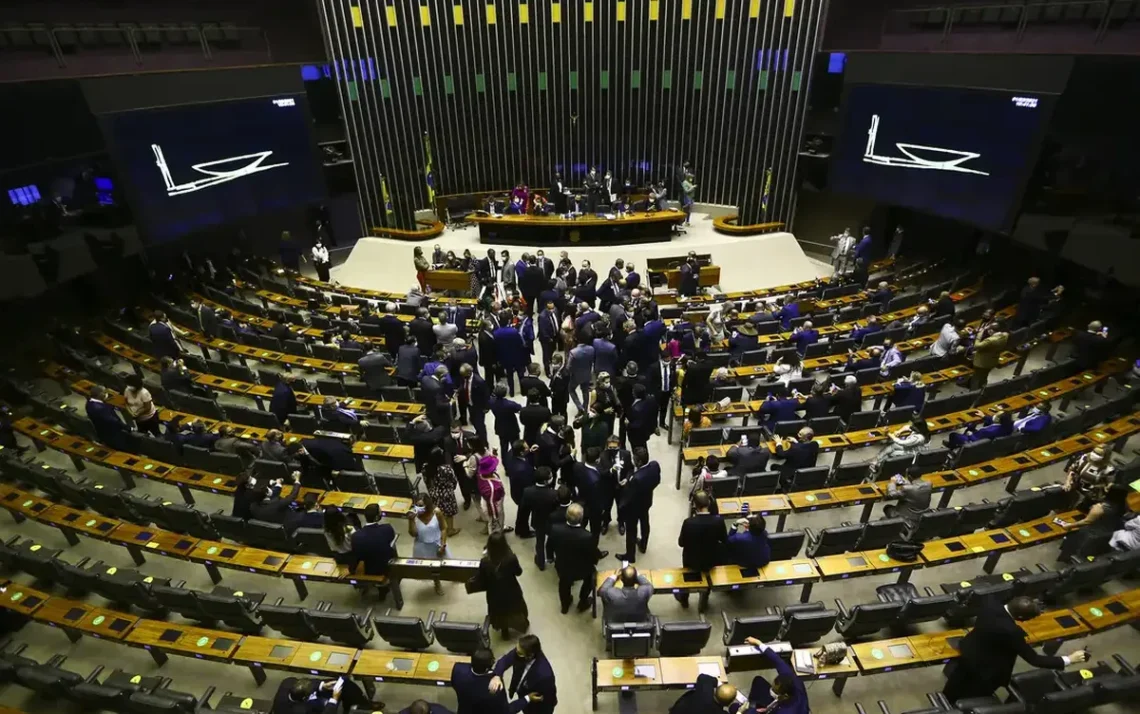 interrupção, voluntária da, gravidez, procedimento, abortivo, interrupção, da gestação;