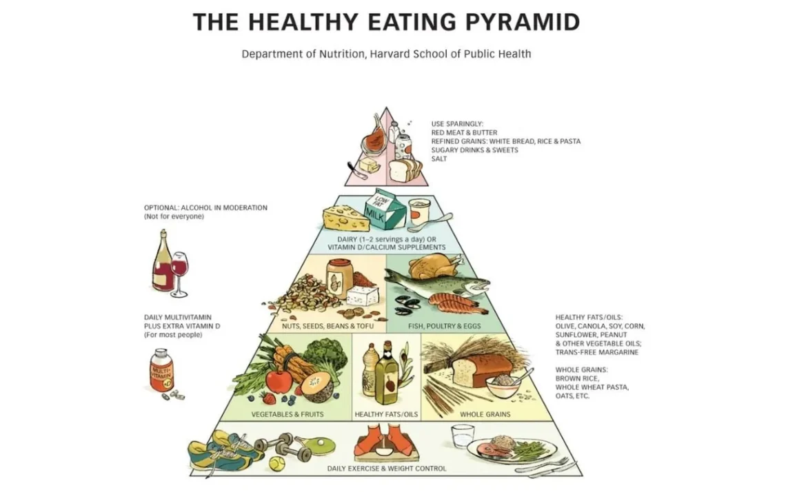 esquema, alimentação;