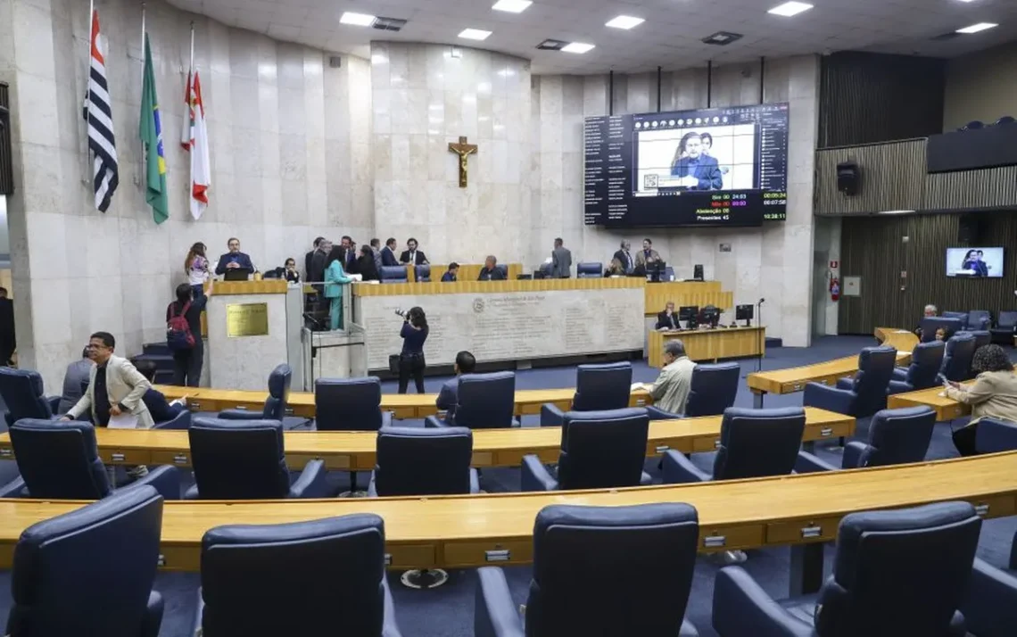 vereadoras, candidaturas, femininas, cota, de gênero;