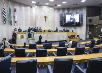 vereadoras, candidaturas, femininas, cota, de gênero;