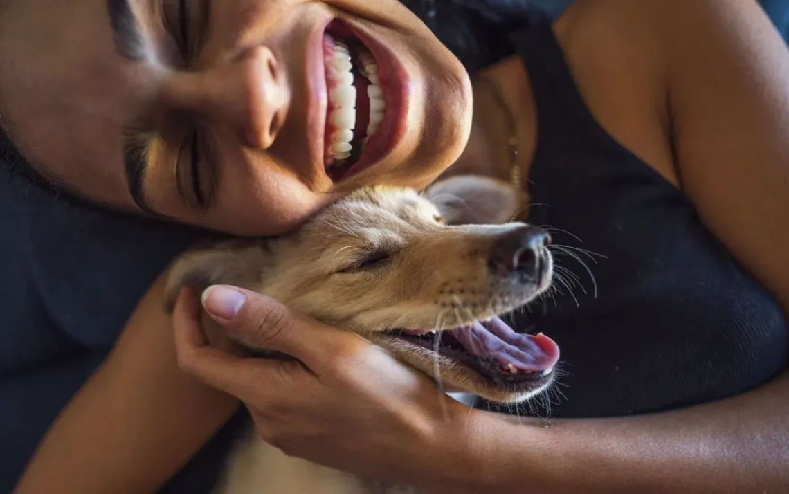 animais, de estimação, bichinhos;