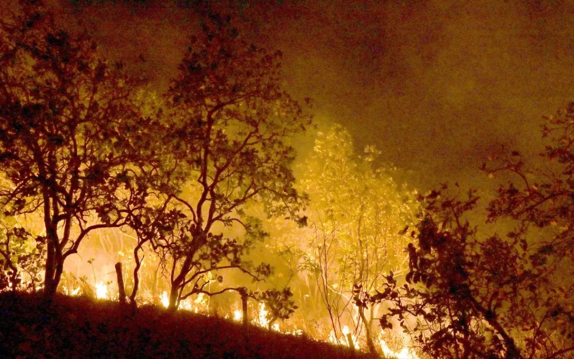 queimadas, focos de incêndio, incêndios florestais, queimadas, amazônicas;