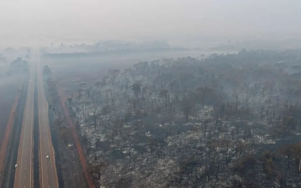 queimadas, focos, incêndios, chamas;