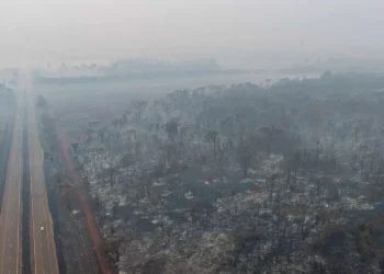 queimadas, focos, incêndios, chamas;