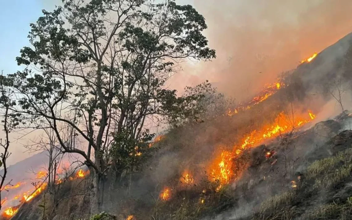 queimadas, focos, de incêndio, rodovias, interditadas;