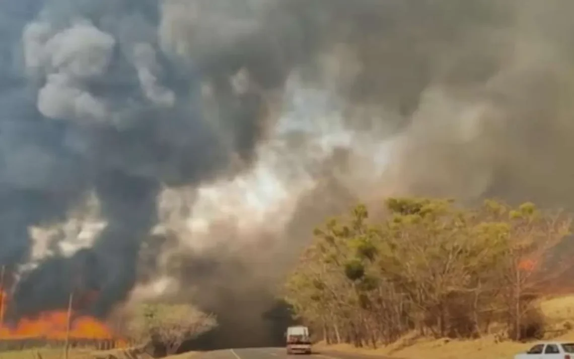 incêndios, focos, de incêndio, incêndios, florestais;