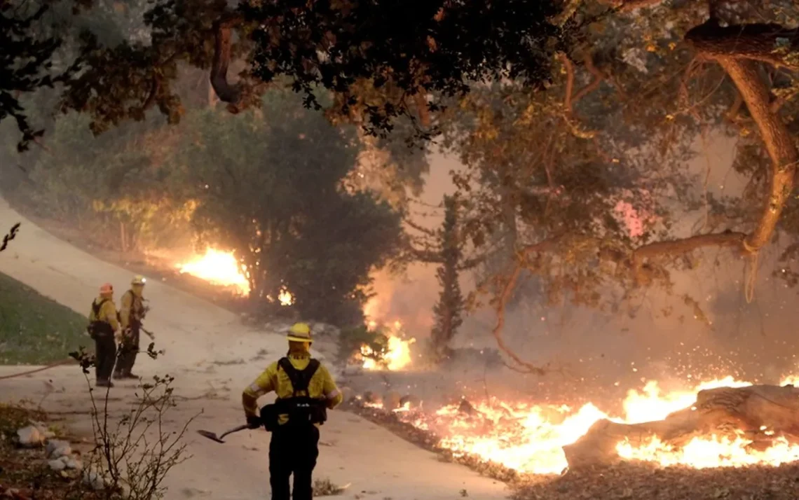 queimadas, focos, incêndios-florestais;