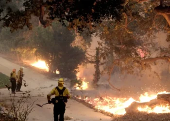 queimadas, focos, incêndios-florestais;