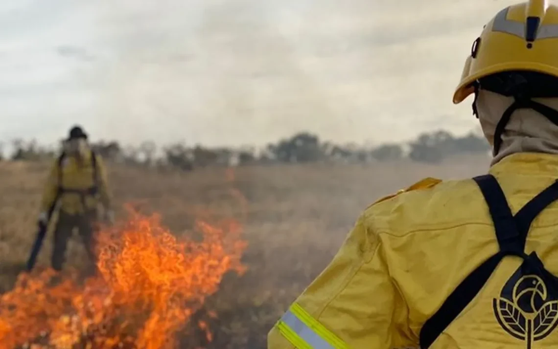 combatentes de incêndios, trabalhadores de combate, agentes florestais;