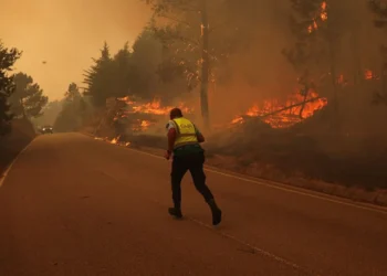 Incêndios devastadores, Incêndios rurais, Incêndios de grande escala;