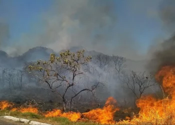 incêndios, fogo, combustão;