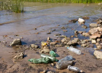 contaminação, degradação, poluente;