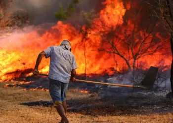 queimadas, fogo