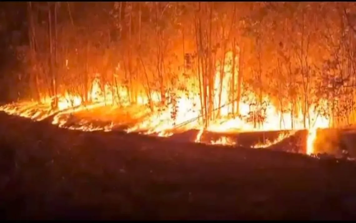 Corpo, de Bombeiros, Equipes, do 1º Grupamento, de Teresina, Comandante, de Operações.;