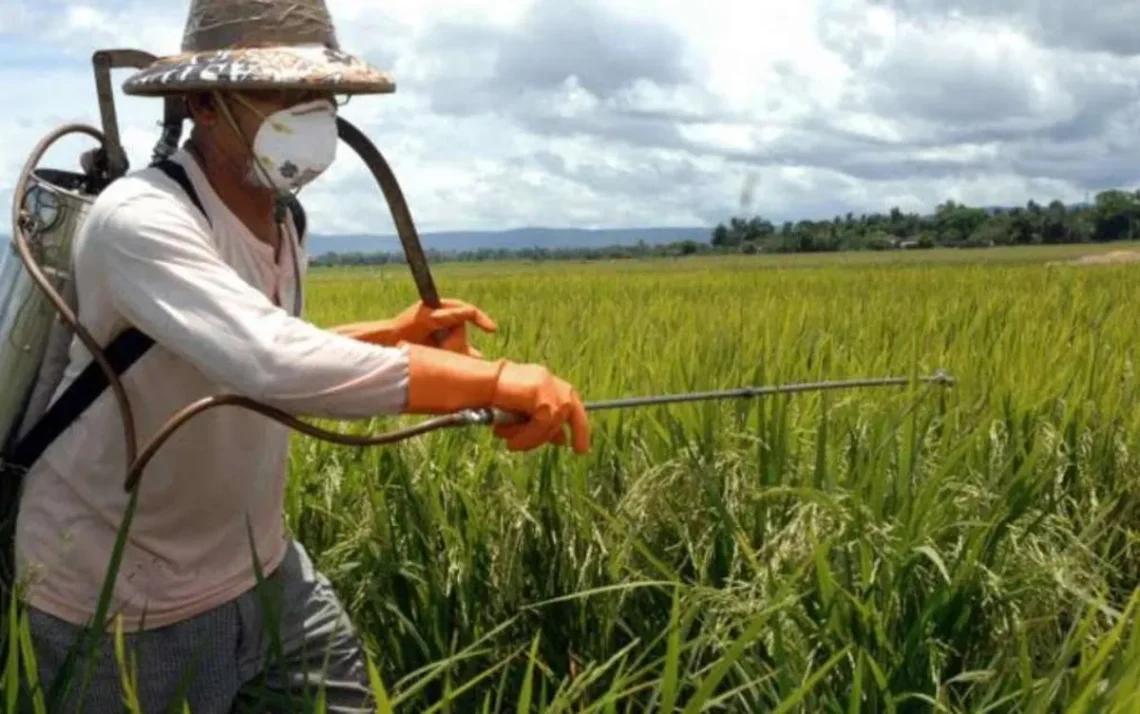 agrícola, sustentável, progressiva, avanço, inovação;