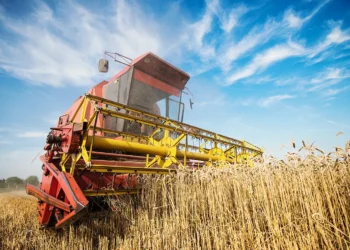 agricultura, rural, produção, cultivo, sustentabilidade;