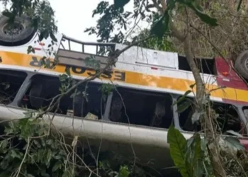 ônibus, dia, sol, prefeitura;