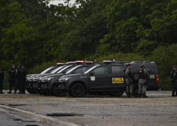 Polícia, Militar, Polícia, Civil, Bombeiros, Peritos;